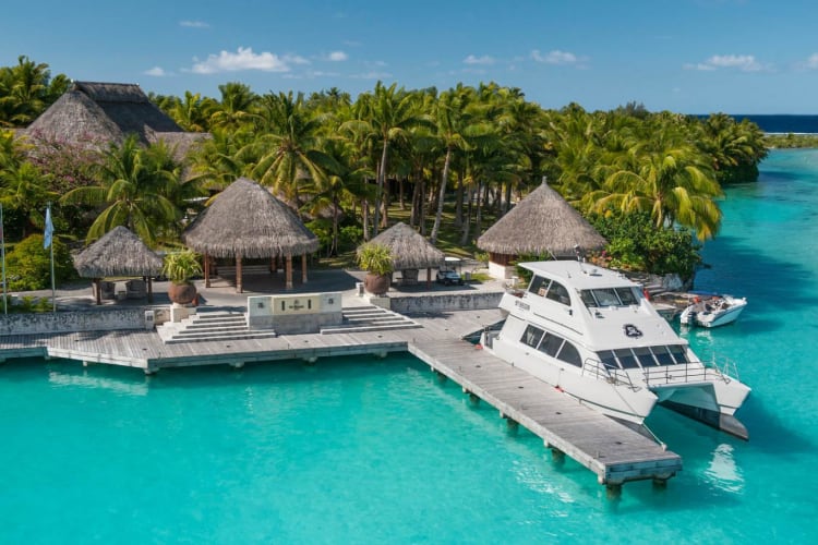 Arrival Dock